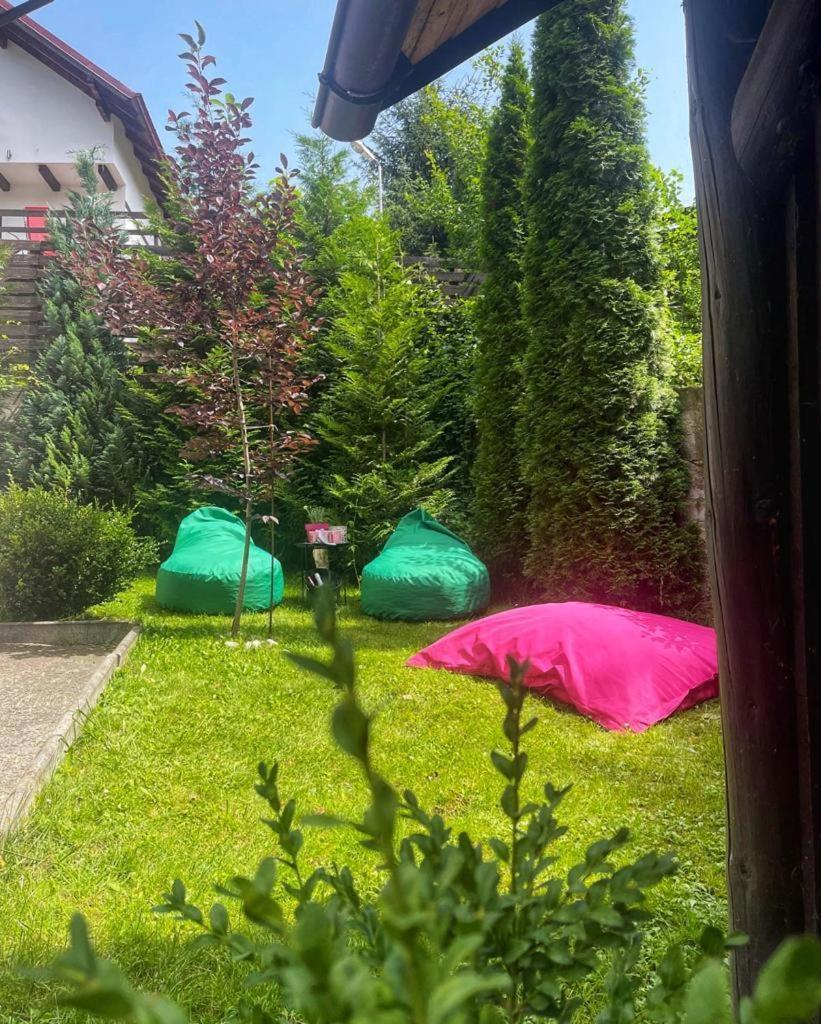 Vila Aldor برانْ المظهر الخارجي الصورة